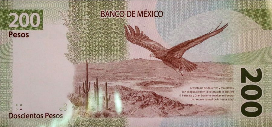 Reverso billete de 200 Pesos Mexicanos