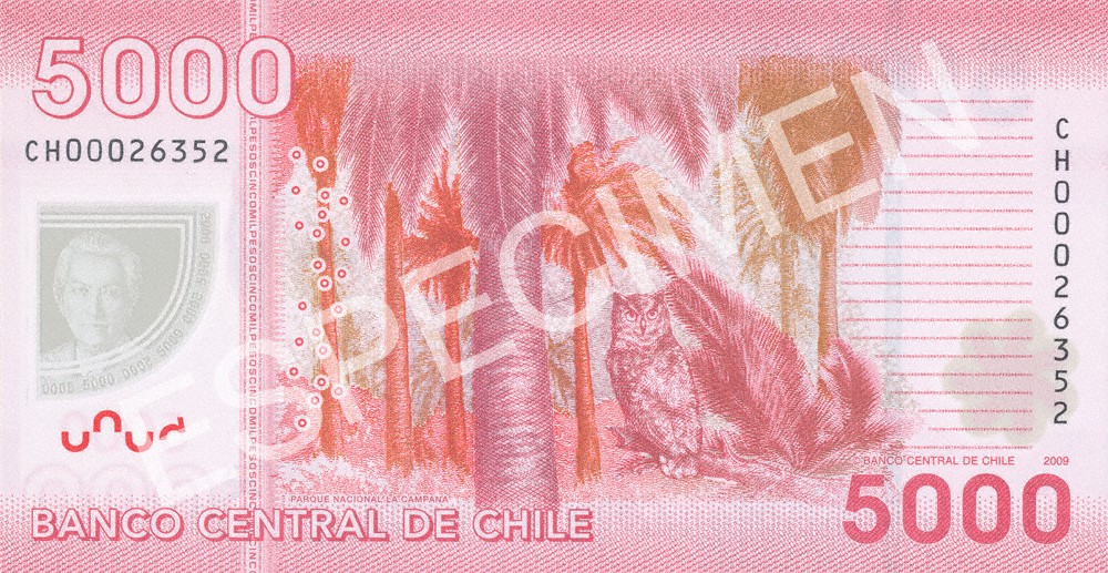 Reverso billete de 5,000 Pesos Chilenos